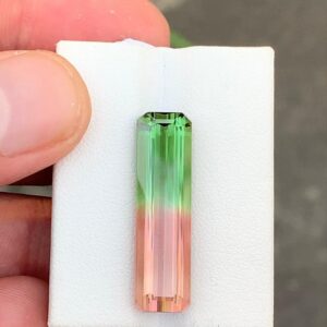 Untreated 17.70 Carat Watermelon  Tourmaline